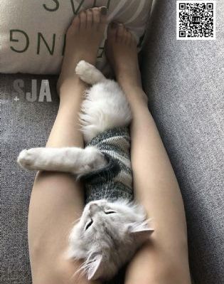 欧美猛性xxxxbbbb_DVD免费全集观看
