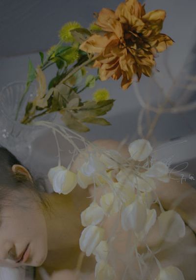 电视剧欧美神话_剧情片完整版观看