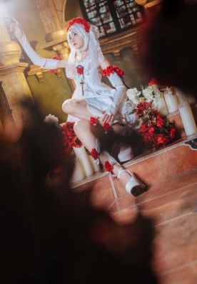 精品源码视频_DVD免费观看电视剧